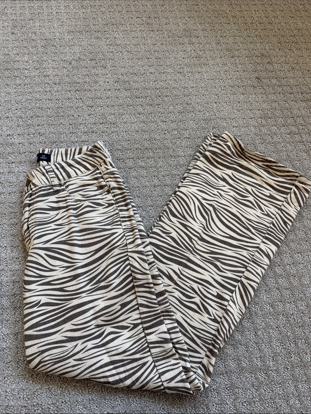 Lioness Men's Corduroy Zebra Print Pants - Black & White